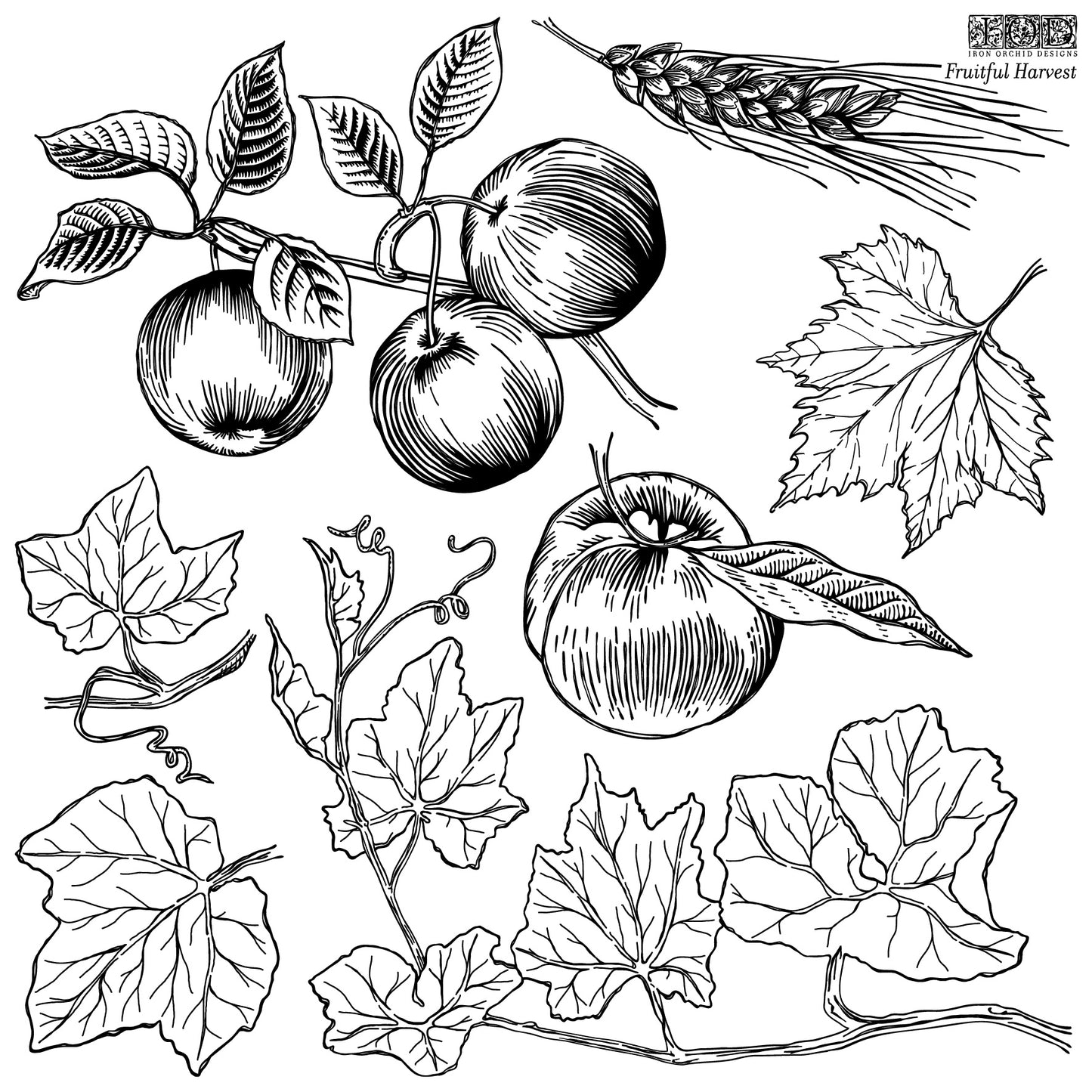 Fruitful Harvest 12x12 IOD Stamp™