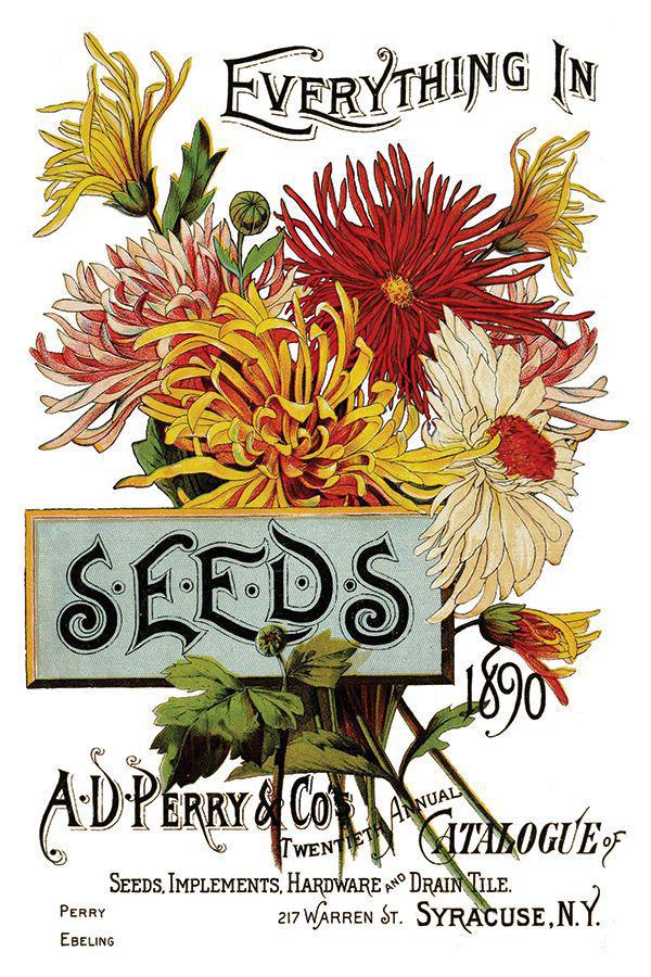Seed Catalogue Eight 8” x 12” Sheets