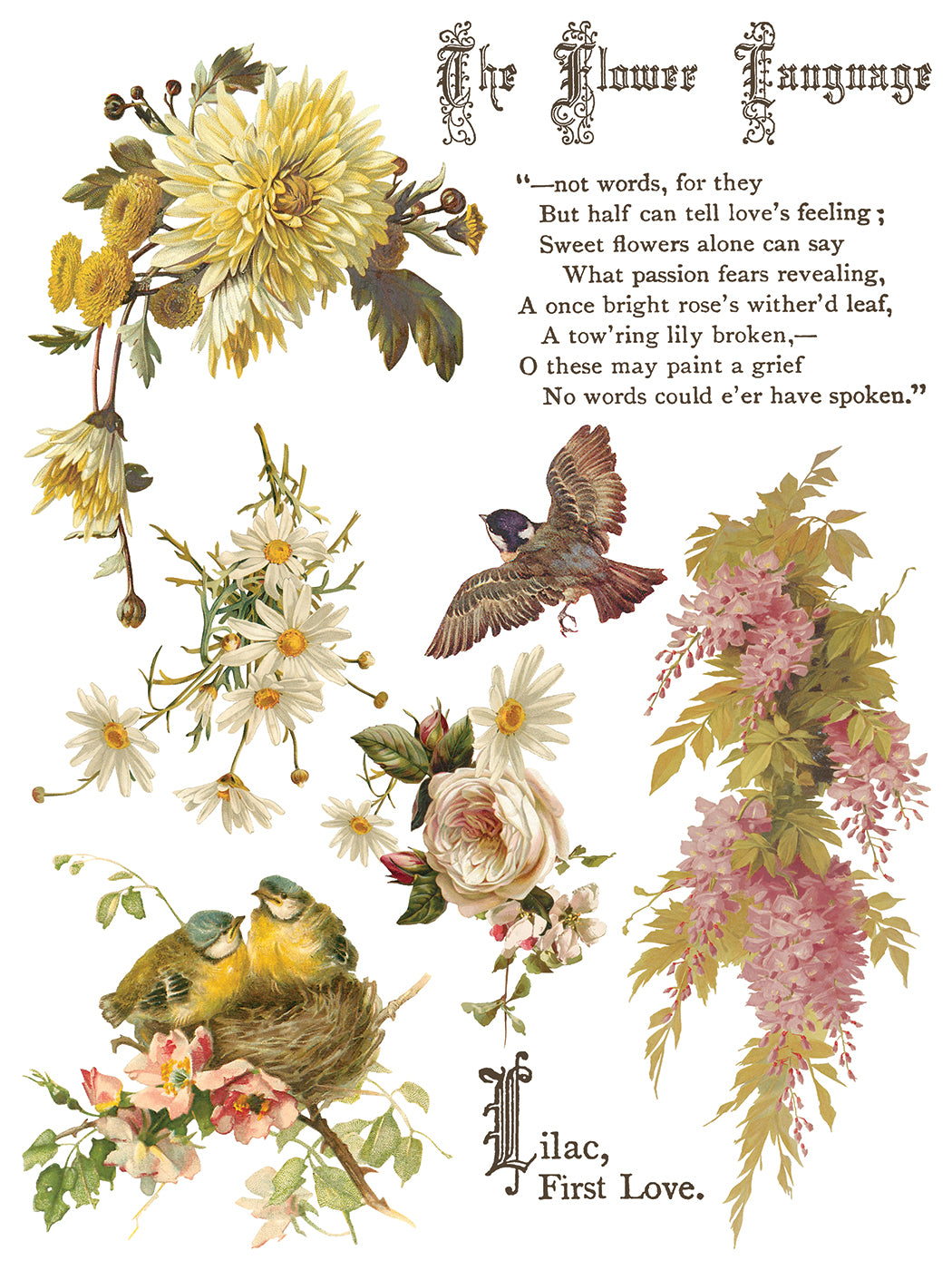 Flowers by the Poets IOD Transfer 12x16 Pad