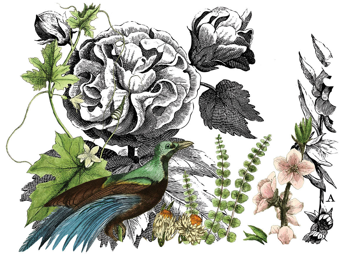 Midnight Garden IOD Transfer 12x16 Pad™