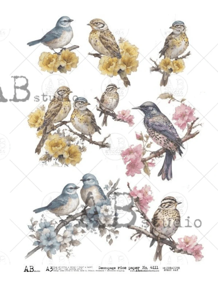 Birds on Branches with Blooming Flowers A3 size