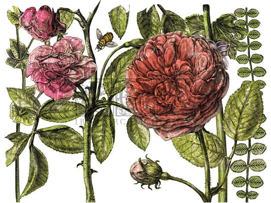 Botanist's Journal IOD Transfer 12x16 Pad™