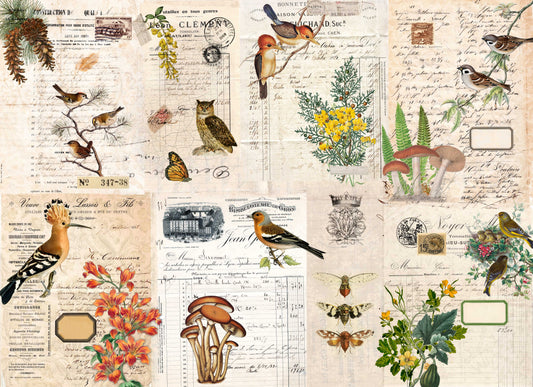 Fall Botanical Blocks Decoupage Paper by Roycycled Treasures