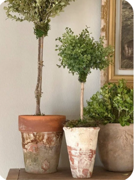 Aug 4 Rustic Elegance: DIY Faux Topiaries & Aged Pots