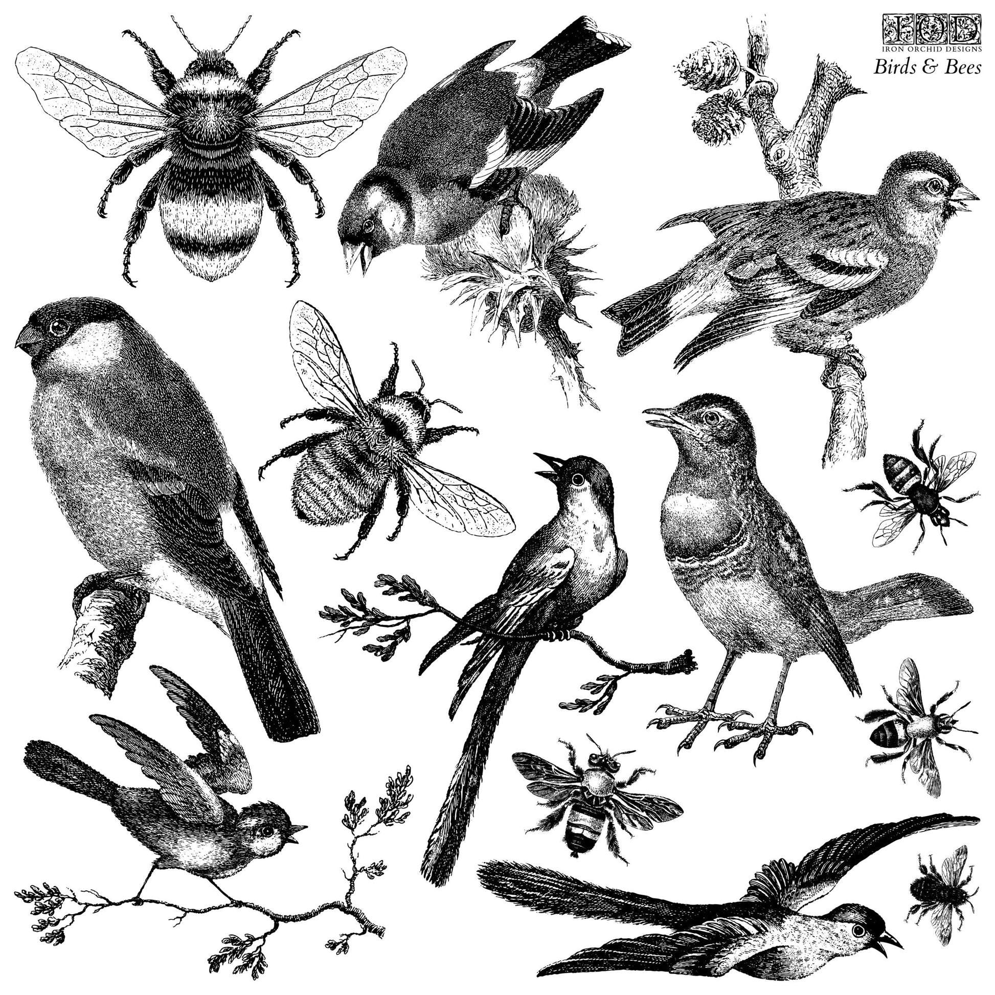 Birds & Bees 12x12 IOD Stamp™