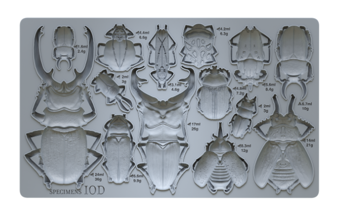 Specimens 6X10 IOD Mould Beetle Inspired