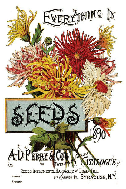 Seed Catalogue Eight 8” x 12” Sheets