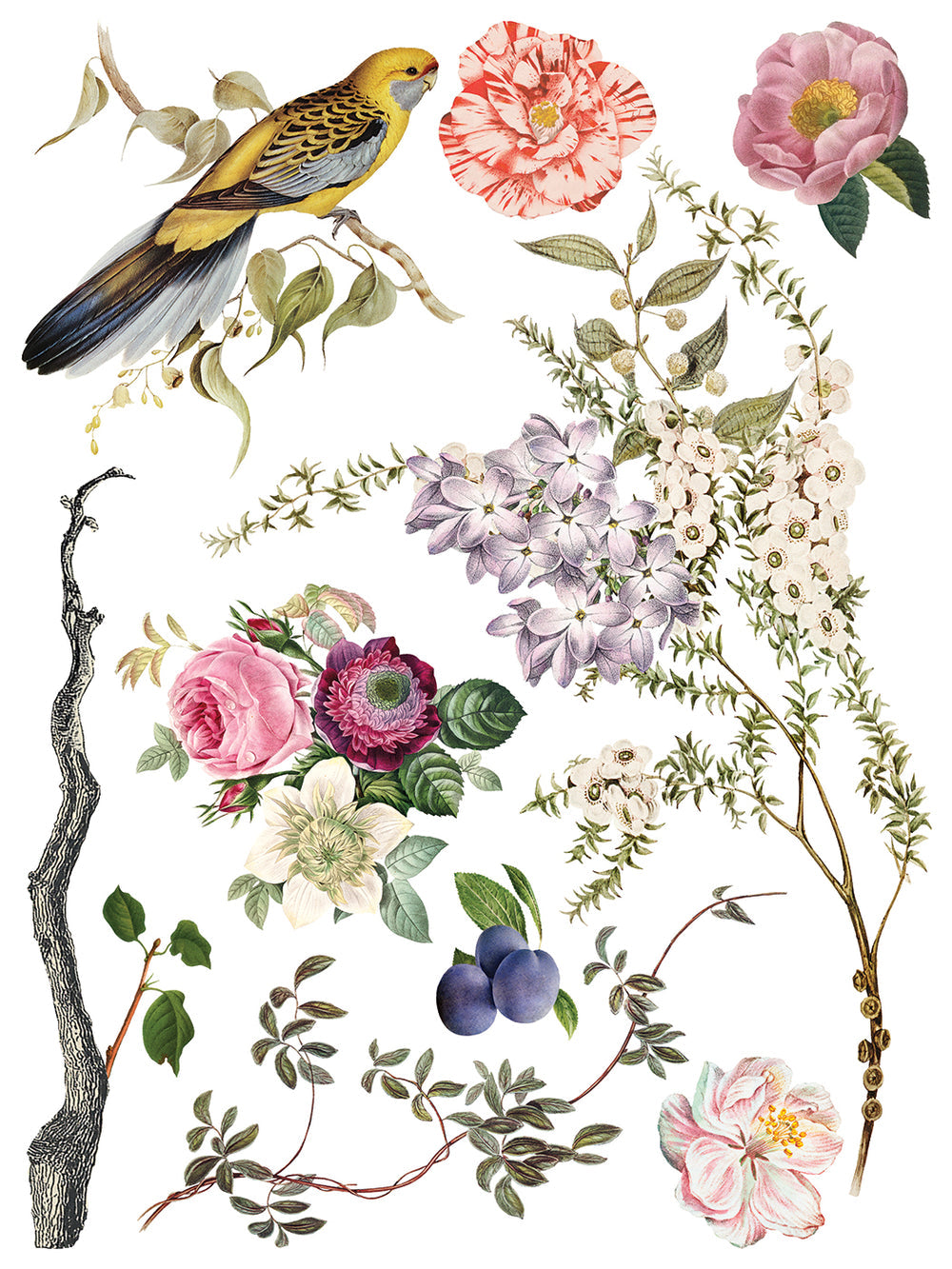 Menagerie IOD 12” x 16” Eight Page Decor Transfer