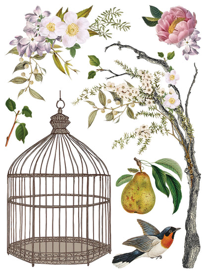 Menagerie IOD 12” x 16” Eight Page Decor Transfer