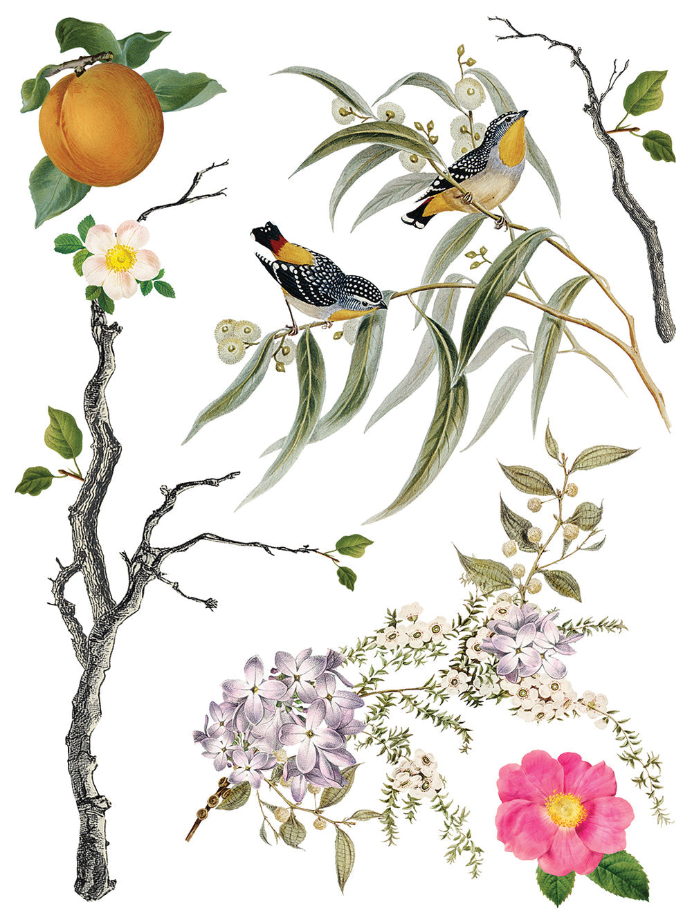 Menagerie IOD 12” x 16” Eight Page Decor Transfer