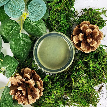 Metallic and Lux Metallic Paint