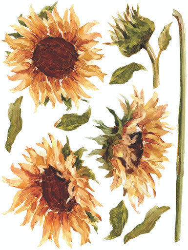 Painterly Florals 12” x 16” IOD Transfer 8 Page Booklet
