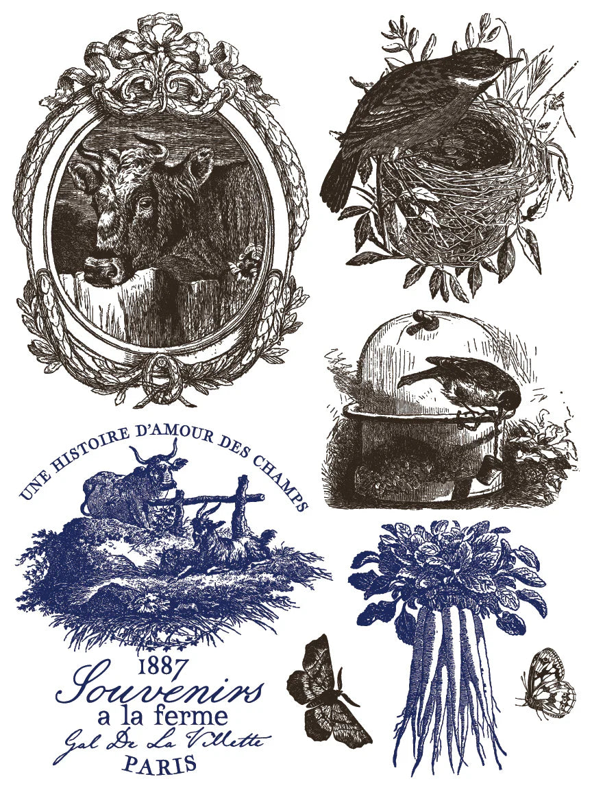 Hameau de la Reine IOD Paint Inlay 12x16 Pad™ Spring Release 2026