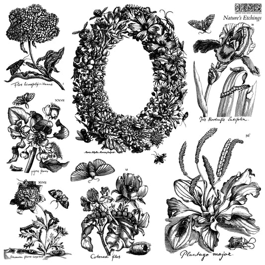Nature's Etchings 12x12 IOD Stamp 2 Sheets