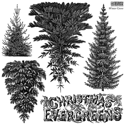 Winter Grove 12x12 IOD Stamp™