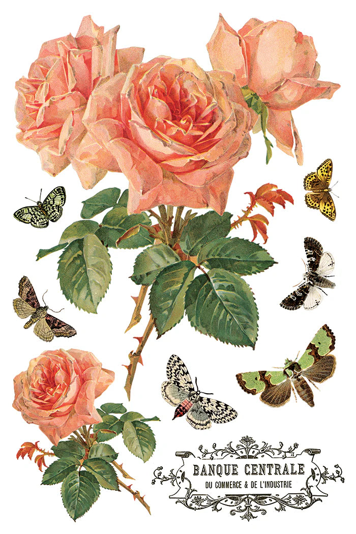 By Any Other Name IOD Transfer 8x12 Pad™  Spring Release 2026