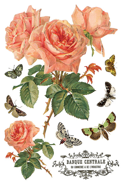 By Any Other Name IOD Transfer 8x12 Pad™  Spring Release 2026