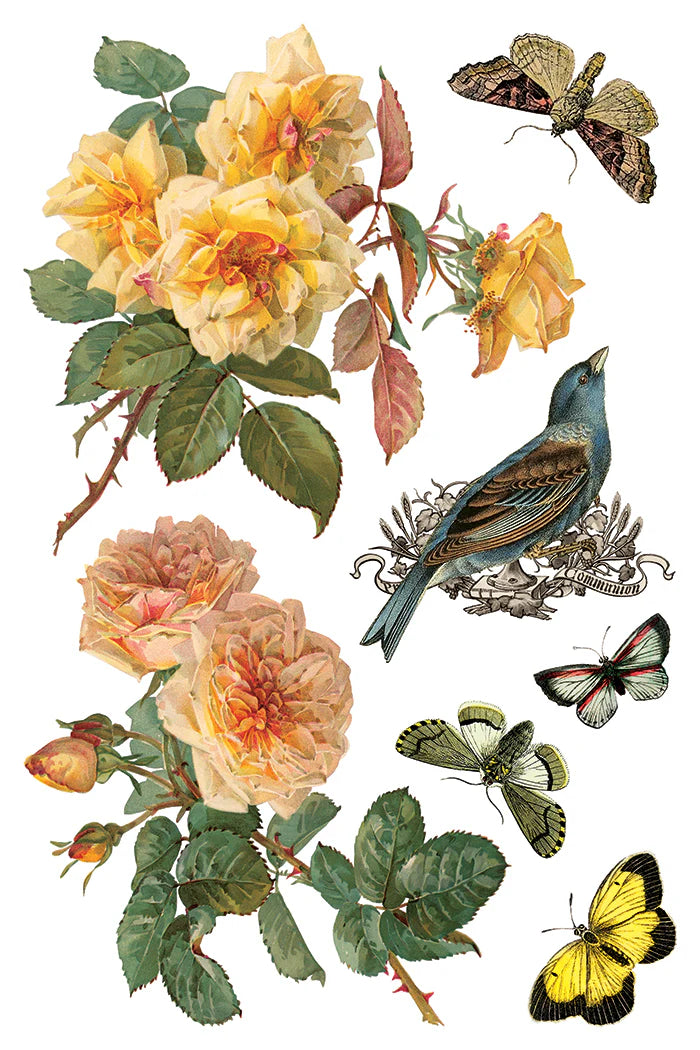 By Any Other Name IOD Transfer 8x12 Pad™  Spring Release 2026