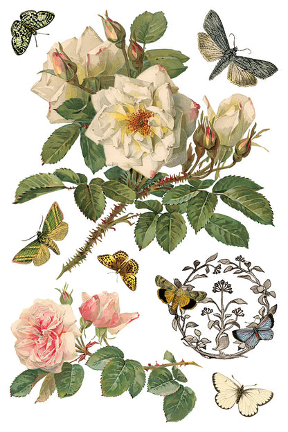 By Any Other Name IOD Transfer 8x12 Pad™  Spring Release 2026