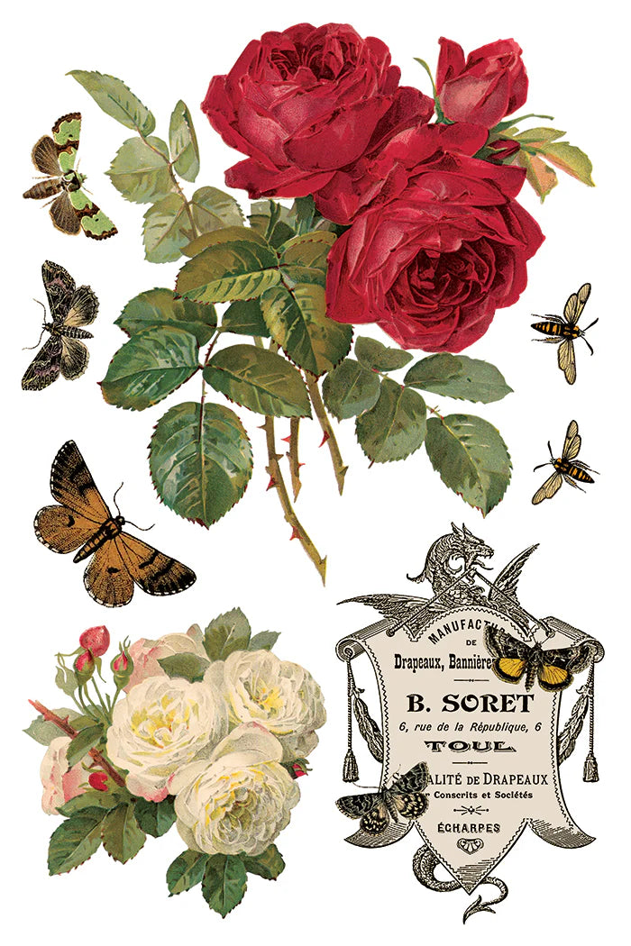 By Any Other Name IOD Transfer 8x12 Pad™  Spring Release 2026