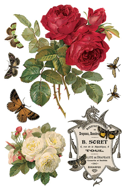 By Any Other Name IOD Transfer 8x12 Pad™  Spring Release 2026