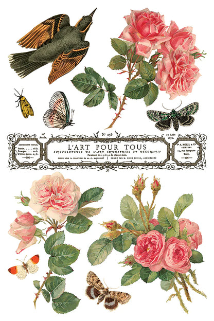 By Any Other Name IOD Transfer 8x12 Pad™  Spring Release 2026