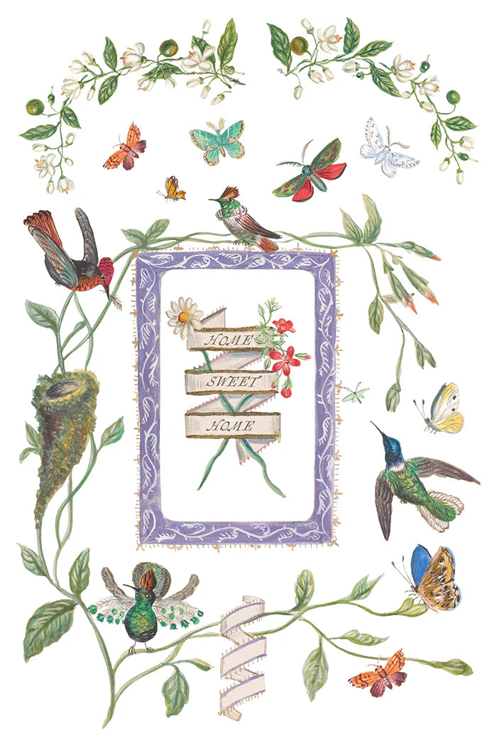 Emily Clare IOD Transfer 8x12 Pad™ Spring Release 2026