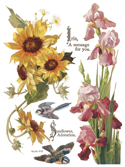 Flowers by the Poets IOD Transfer 12x16 Pad