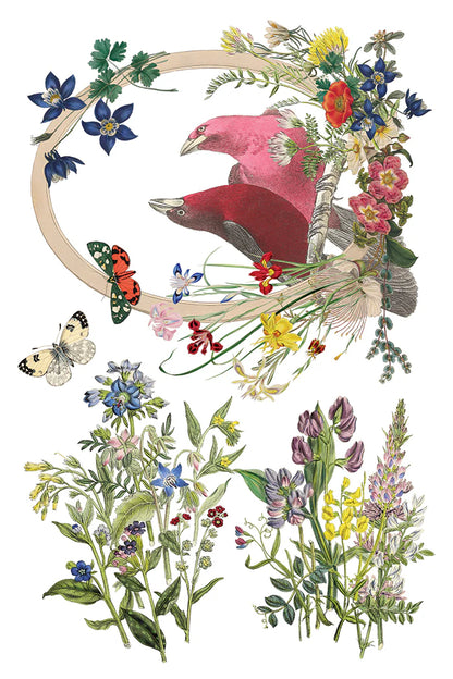 Flora Greca IOD Transfer 8x12 Pad™ Spring Release 2026