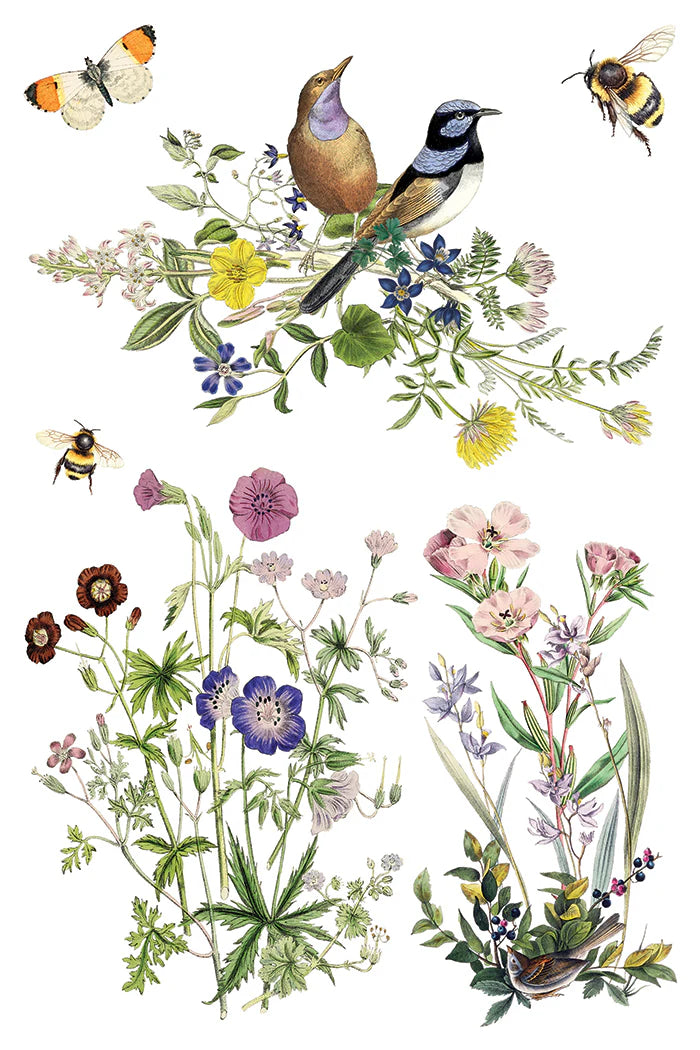 Flora Greca IOD Transfer 8x12 Pad™ Spring Release 2026