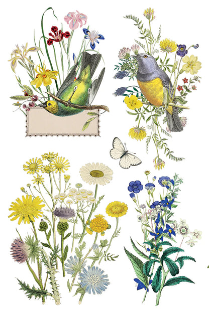 Flora Greca IOD Transfer 8x12 Pad™ Spring Release 2026