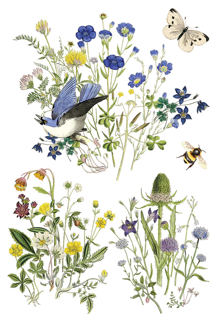 Flora Greca IOD Transfer 8x12 Pad™ Spring Release 2026