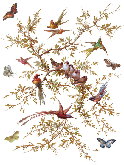 Madeleine IOD Transfer 12x16 Pad™ Spring Release 2026