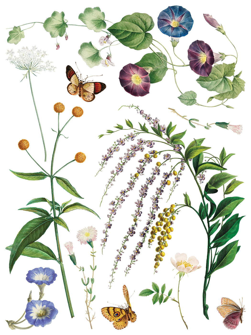 Marché des Fleurs IOD Transfer 12x16 Pad