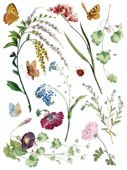 Marché des Fleurs IOD Transfer 12x16 Pad