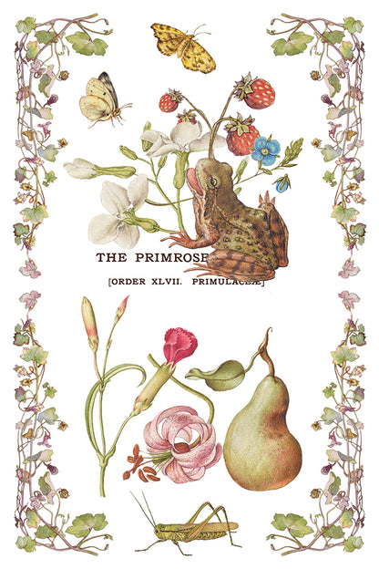 Primrose Isle IOD Transfer 8x12 Pad