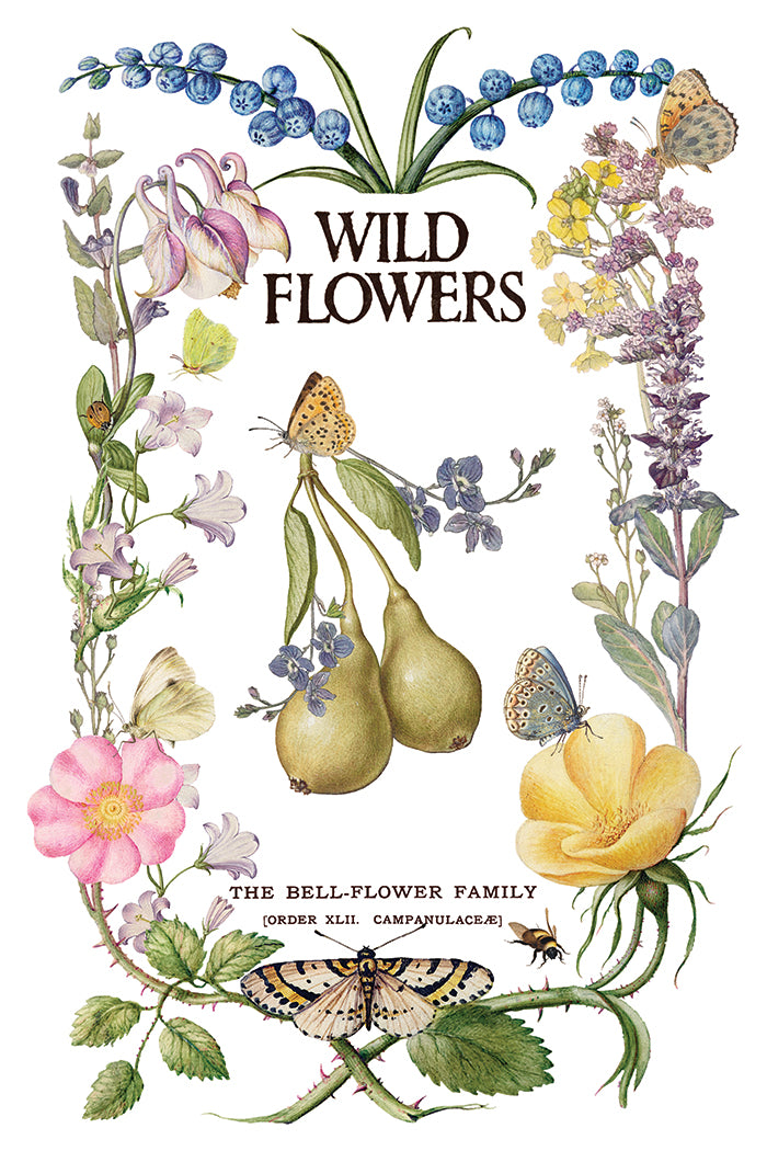 Primrose Isle IOD Transfer 8x12 Pad